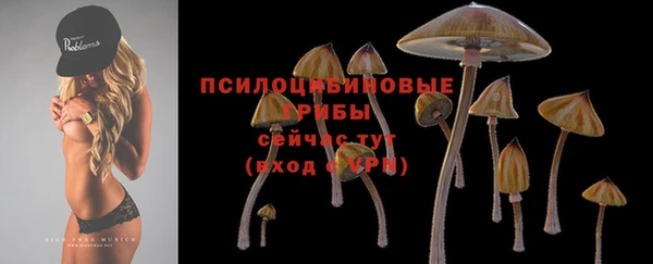 экстази Белокуриха