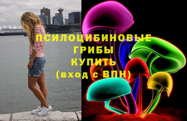экстази Белокуриха