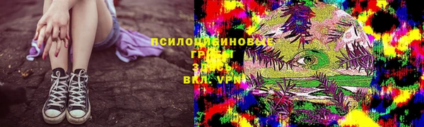 бошки Белоозёрский