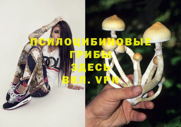 бошки Белоозёрский