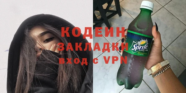 гашик Пестово