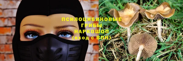 экстази Белокуриха