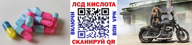 купить закладку  площадка состав  ЛСД экстази кислота  Торопец 