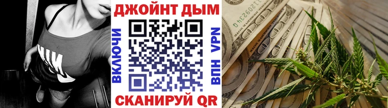 Бошки Шишки планчик Торопец